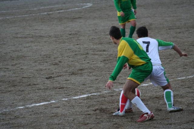 PARNASSIUS - CESARO (120).jpg