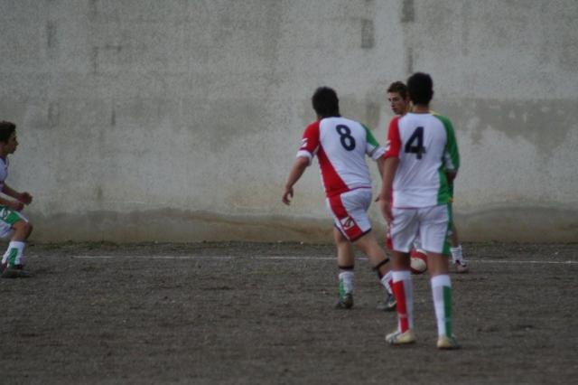 PARNASSIUS - CESARO (123).jpg