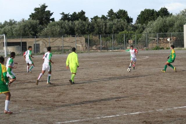 PARNASSIUS - CESARO (145).jpg