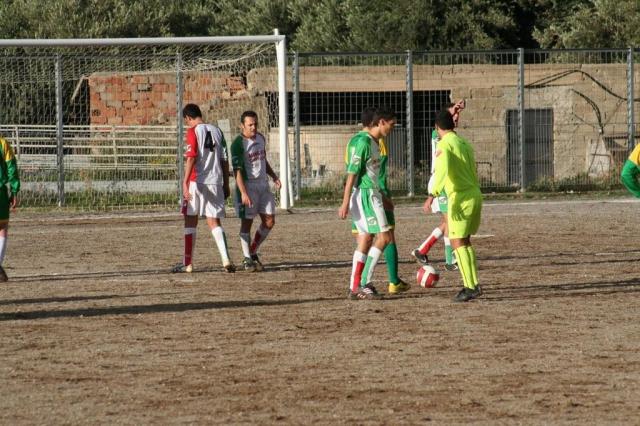 PARNASSIUS - CESARO (156).jpg