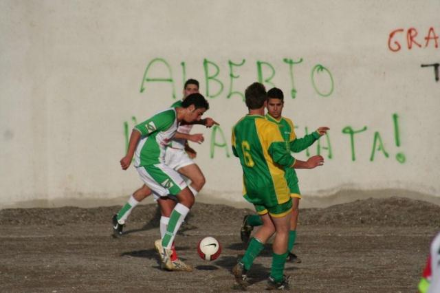 PARNASSIUS - CESARO (164).jpg