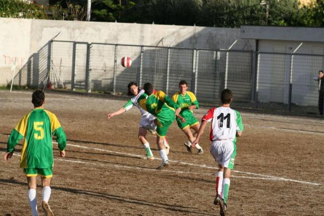 PARNASSIUS - CESARO (165).jpg