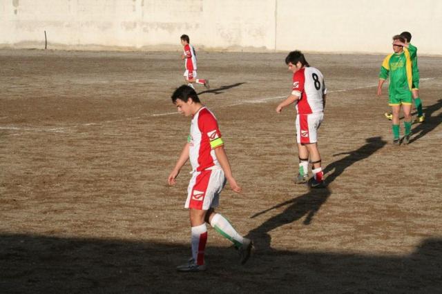 PARNASSIUS - CESARO (168).jpg