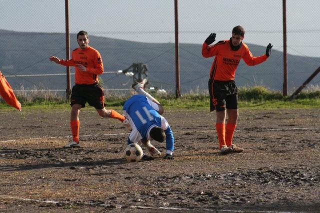 CESARO - PARNASSIUS (217).jpg