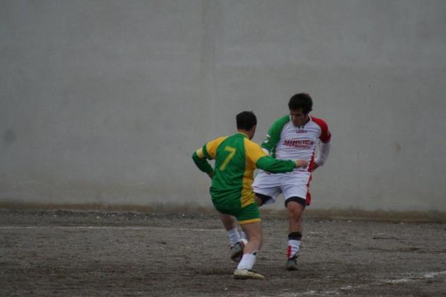 PARNASSIUS - CESARO (2).jpg