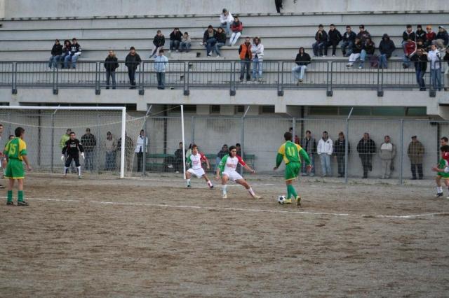 PARNASSIUS - CESARO (209).jpg