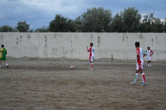 PARNASSIUS - CESARO (219).jpg