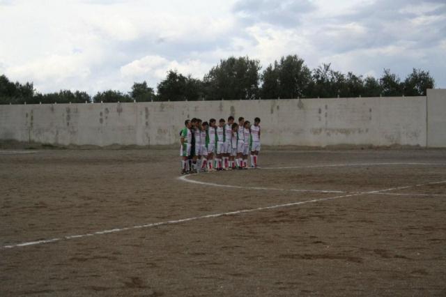 PARNASSIUS - CESARO (273).jpg