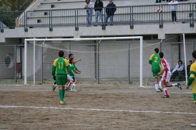 PARNASSIUS - CESARO (296).jpg