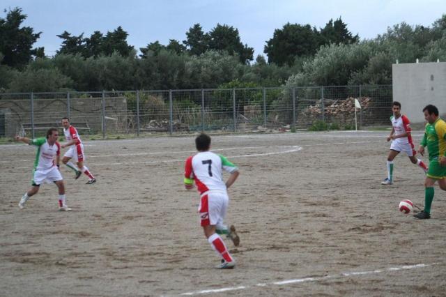 PARNASSIUS - CESARO (307).jpg