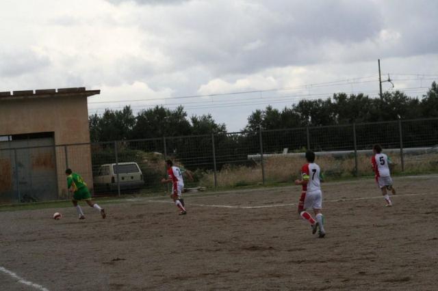 PARNASSIUS - CESARO (308).jpg