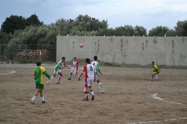 PARNASSIUS - CESARO (313).jpg