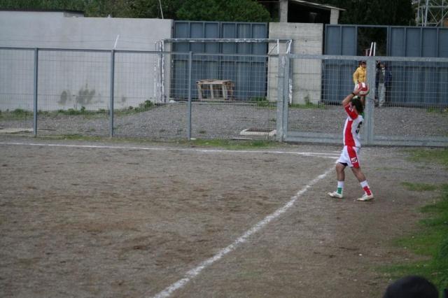 PARNASSIUS - CESARO (315).jpg