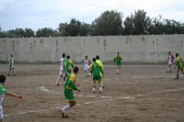 PARNASSIUS - CESARO (320).jpg