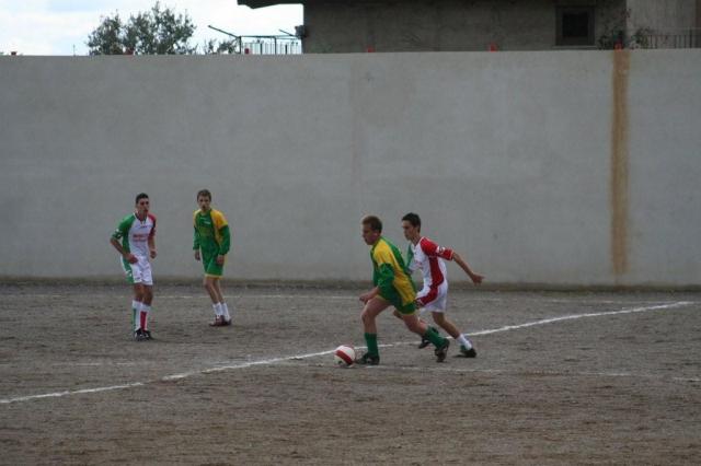 PARNASSIUS - CESARO (321).jpg