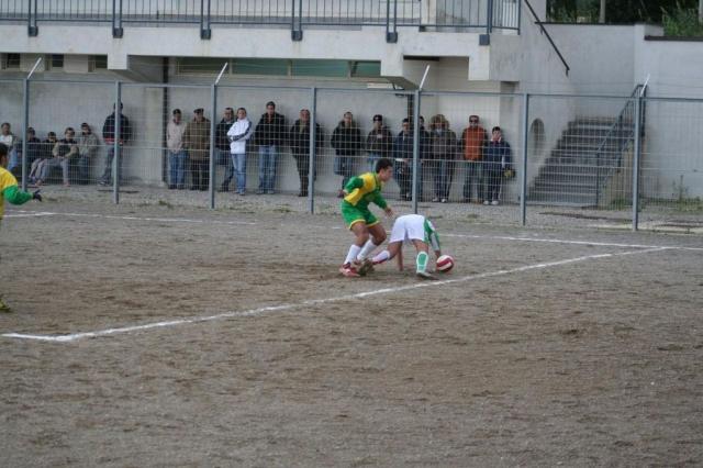 PARNASSIUS - CESARO (323).jpg