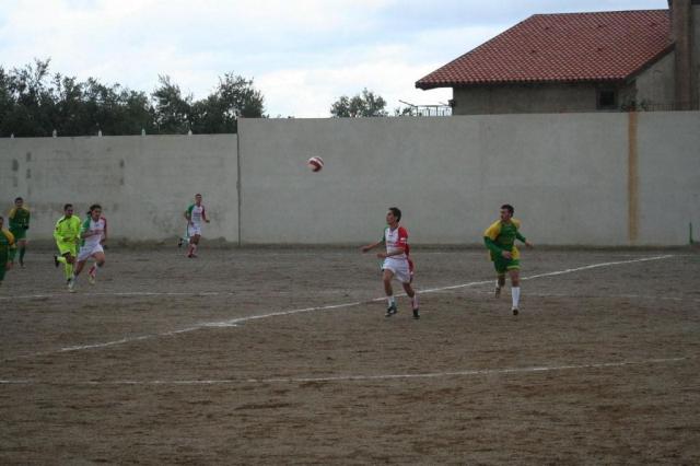 PARNASSIUS - CESARO (326).jpg