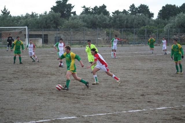 PARNASSIUS - CESARO (331).jpg