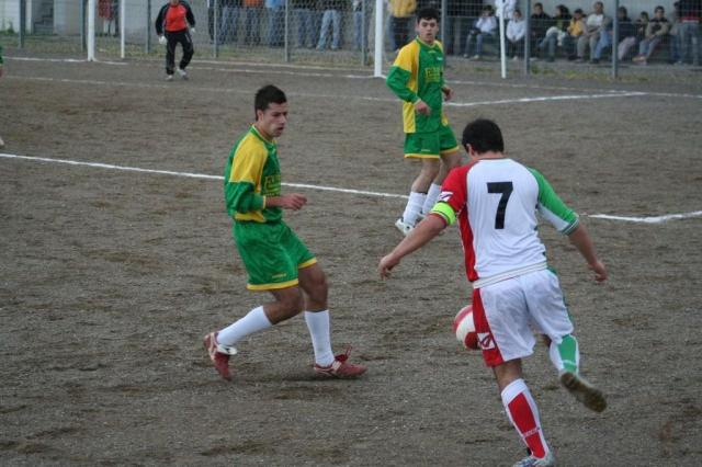 PARNASSIUS - CESARO (333).jpg