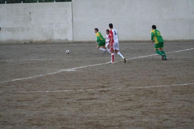 PARNASSIUS - CESARO (336).jpg