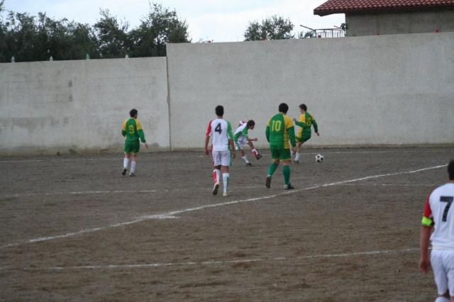 PARNASSIUS - CESARO (337).jpg