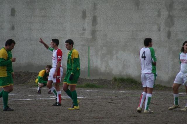 PARNASSIUS - CESARO (342).jpg