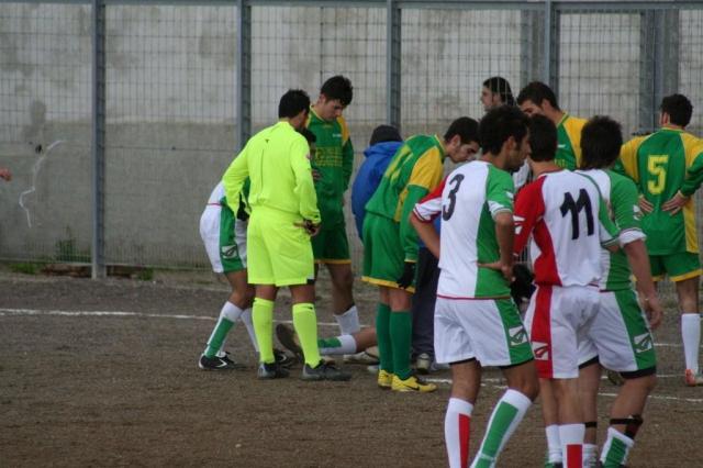 PARNASSIUS - CESARO (353).jpg