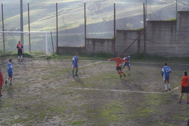 CESARO - PARNASSIUS (378).jpg