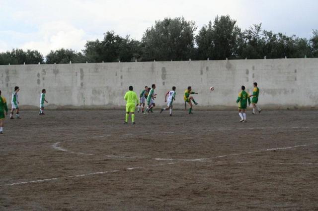 PARNASSIUS - CESARO (363).jpg