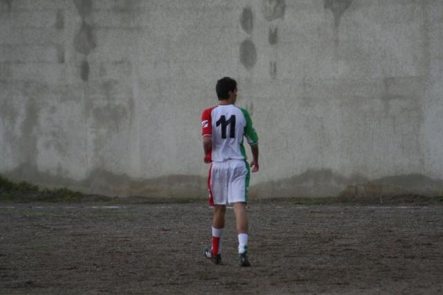 PARNASSIUS - CESARO (364).jpg