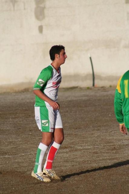 PARNASSIUS - CESARO (387).jpg