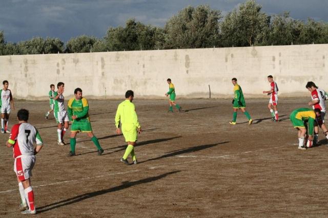 PARNASSIUS - CESARO (388).jpg