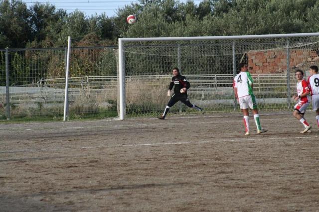 PARNASSIUS - CESARO (399).jpg