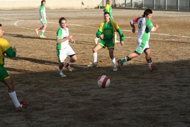 PARNASSIUS - CESARO (403).jpg