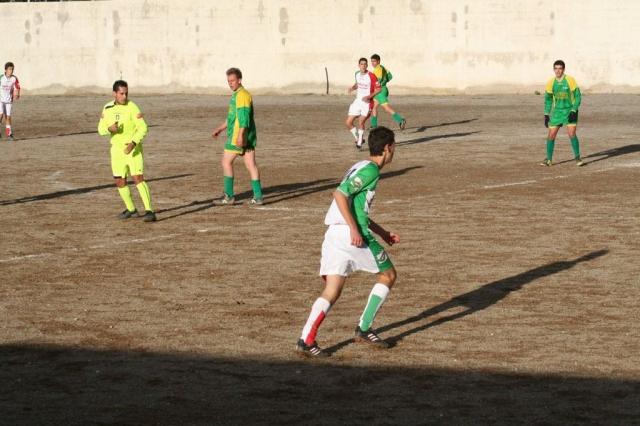 PARNASSIUS - CESARO (407).jpg