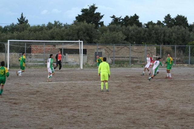 PARNASSIUS - CESARO (418).jpg