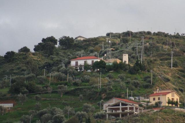 PARNASSIUS - CESARO (440).jpg