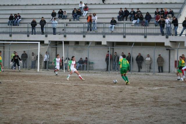 PARNASSIUS - CESARO (445).jpg