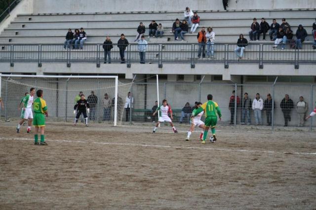 PARNASSIUS - CESARO (446).jpg