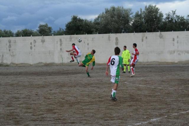 PARNASSIUS - CESARO (451).jpg