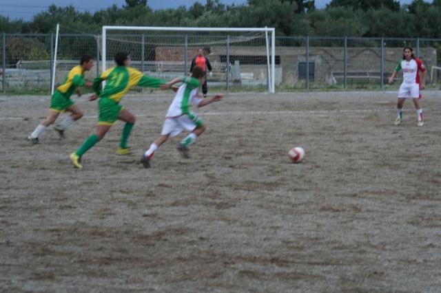 PARNASSIUS - CESARO (470).jpg