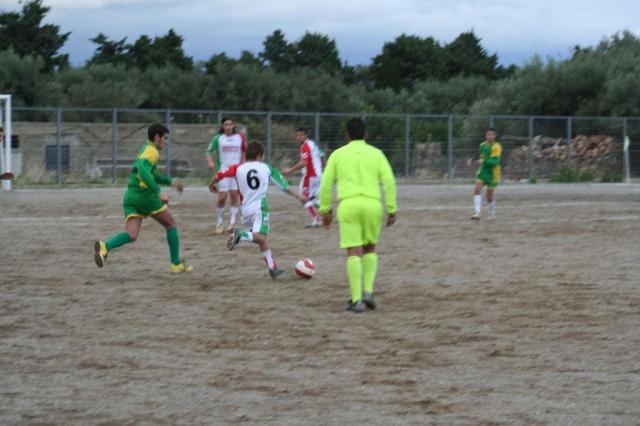 PARNASSIUS - CESARO (471).jpg