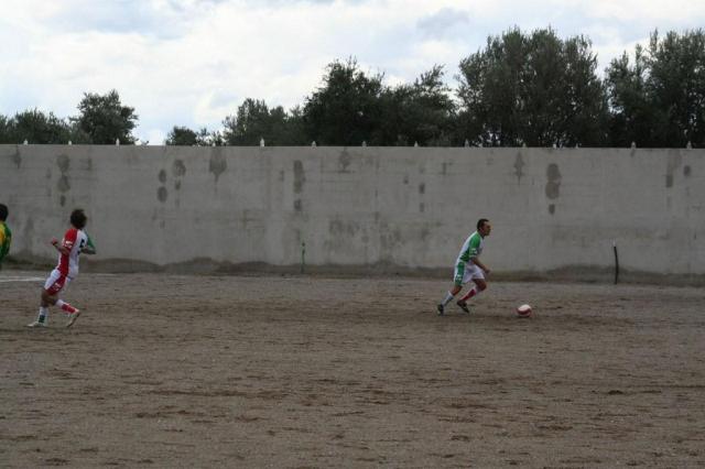 PARNASSIUS - CESARO (56).jpg