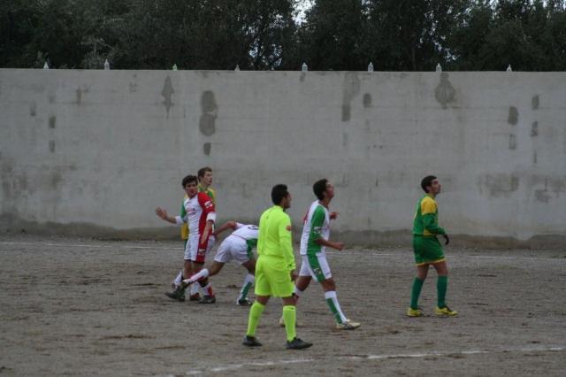 PARNASSIUS - CESARO (67).jpg