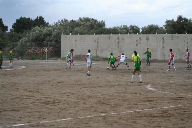 PARNASSIUS - CESARO (73).jpg