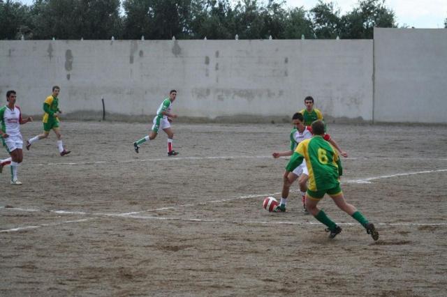 PARNASSIUS - CESARO (77).jpg