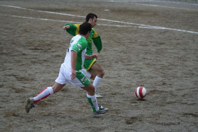 PARNASSIUS - CESARO (86).jpg