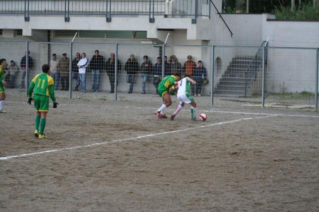 PARNASSIUS - CESARO (87).jpg