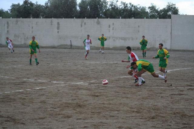 PARNASSIUS - CESARO (90).jpg