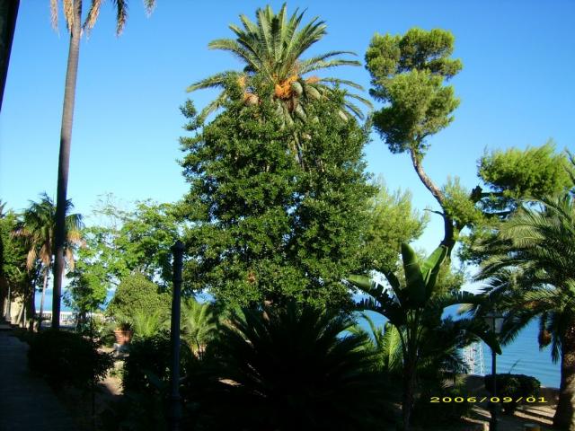 FOTO PAESE (101).jpg